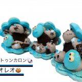 西区にあるKIRSCHE キルシェから『貝殻トゥンカロン』が発売！