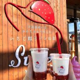 桑園にあるスナオないちごから『メガいちごみるく』が発売！