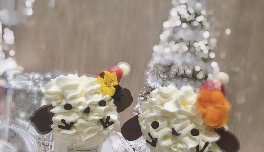 札幌パセオにあるFlower Flowerにて『シマエナガサンタフラワー』が発売中!