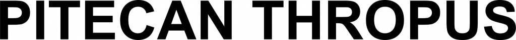 ピテカントロプスのロゴ