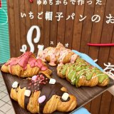桑園にあるスナオないちごから『新クロワッサン』が発売！
