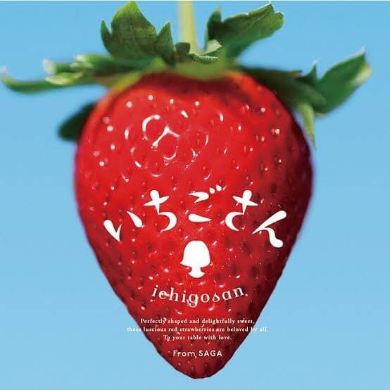 佐賀県のブランドいちご「いちごさん」