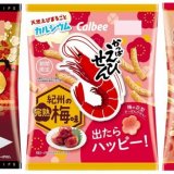 カルビー梅まつり企画！『堅あげポテト 梅味』・『かっぱえびせん 紀州の完熟梅味』・『サッポロポテトつぶつぶベジタブル はちみつ南高梅味』が1月10日(月)より順次発売！