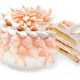 さっぽろ東急百貨店にもあるカフェコムサから希少な「白いちご」を使用した『白いちごのホワイトティラミスショートケーキ』が2月22日(火),23日(水)に発売！