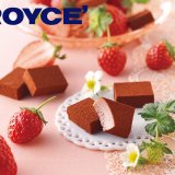 ロイズから「生チョコレート[ストロベリー]」「ストロベリー&フロマージュマカロン」などのいちごスイーツが2月16日(水)より発売！