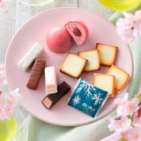 ISHIYAから春の新商品「チョコがけいちごのまるやまクーヘン」「美冬(さくらともも)」が2月15日(火)より発売！アソート『スプリングセレクション』も