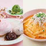 ラソラ札幌にある「さかい珈琲」から『さくらさくらパンケーキ』『春の和風あんかけオムライス』などの春限定メニューが3月28日(月)より発売！