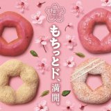 ミスタードーナツから『桜が咲くドドーナツシリーズ』4種が3月1日(火)より発売！
