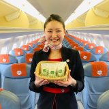 FDAが「札幌(新千歳)→静岡」線の一部便にて『お茶つぶダックワーズ』を提供する期間限定機内サービスを3月13日(日)より実施！
