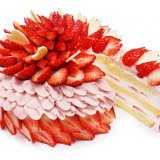 カフェコムサからお花見気分を楽しめる『～春爛漫～いちごと桜のショートケーキ』が3月21日(月),22日(火)に発売！