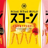 “カリッとサクッとおいしく”かるい新食感に進化した『スコーン やみつきバーベキュー/とろけるクアトロチーズ/カリサク濃密海老』が3月7日(月)より発売！