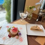 円山にあるチーズケーキ専門店「どるちぇ ど さんちょ」から4月限定ケーキプレート『桜のレアチーズプレート』が発売！