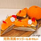 南郷18丁目にあるパティスリー ラ ネージュから『完熟清美タンゴールのタルト』が発売！