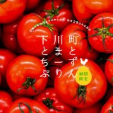 札幌駅構内にある「あべ養鶏場 えっぐぷりん」から『下川町とまと・ちーずぷりん』が5月20日(金)より発売！トマト・チーズ・ぷりんの組み合わせは意外にも相性抜群！