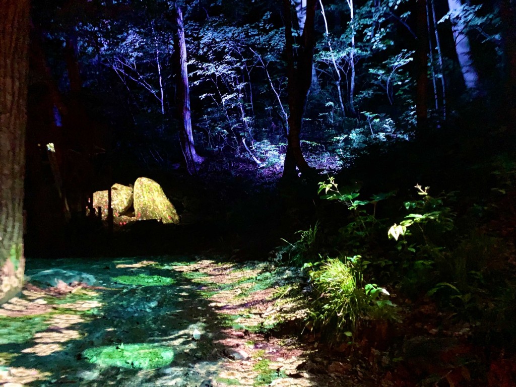 定山渓温泉のライトアップイベント『JOZANKEI NATURE LUMINARIE -WATER LIGHT VALLEY-』-Nature Projection