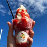 南区にあるカラフルクリームから『いちごカラクリいちご』『マンゴーカラクリマンゴー』が発売！