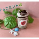 東区にあるMIGNON.(ミニョン)から『チョコミント(缶)』が発売！