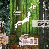 大丸札幌3階 キキヨコチョに展開する“おいしいを厳選するセレクトショップ”「SNOW JEWELS」にて森と共に暮らす町にフォーカスした『森のある暮らし』が開催！