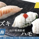 銀のさらにて瀬戸内産『スズキ』と『ハモ』が8月1日(月)より公式サイト限定で発売！