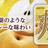リアルな梨を追い求めて今年も帰ってきた！爽梨史上最大の微細氷サイズ・最大量の果汁・果肉量で9年連続の登場！『爽 梨』が8月8日(月)より発売！