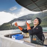 佐藤水産にて定番の「甘塩切り身」を皮切りに『2022新物アラスカ産紅鮭』を8月13日(土)より随時販売します！