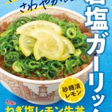 すき家から岩塩ガーリックとさわやかレモンが相性抜群な『ねぎ塩レモン牛丼』が8月17日(水)より発売！