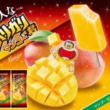 マンゴー果汁33％使用『大人なガリガリ君マンゴー』が8月23日(火)より発売！