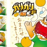 細かな氷で再現した梨特有のシャクシャク食感『ガリガリ君梨』が8月2日(火)より発売！