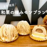清田区にあるフェイクサプライズスイーツから土日限定『和栗の極みモンブラン』が発売！