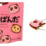 濃いいちごチョコレート×マイルドなミルクチョコレート×香ばしいビスケット『さくさくぱんだ 濃いいちご&ショコラ』が9月20日(火)より発売！