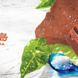 ロイズ通信販売にて『ロイズ石垣島 石垣の塩チョコレート』が大きいサイズにリニューアル！