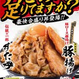 札幌駅前にもある「すた丼屋」にて『豚揚げ合盛りすた丼』が9月1日(木)より発売！すた丼屋の名物3品を一丼に集結した『トリプル合盛りすた丼』も