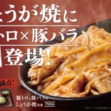 定食レストラン「やよい軒」にて豚バラと豚トロの豪華タッグ『豚トロと豚バラのしょうが焼定食』が9月13日(火)より発売！
