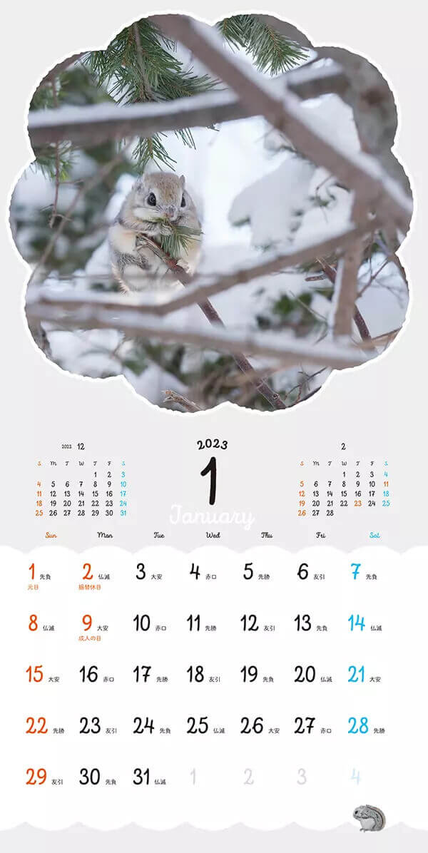 まるっともふっと かわいいエゾモモンガ カレンダー 2023