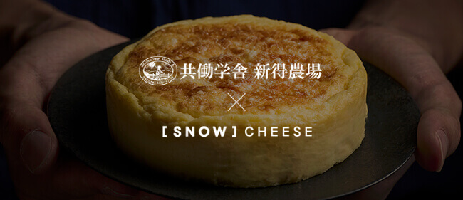 [SNOW] CHEESE × 共働学舎新得農場の『SNOW CHEESE CAKE ｜ スノーチーズケーキ』