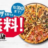 ドミノ・ピザの『Lサイズピザを買うとMサイズピザ2枚無料！』