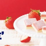 ロイズから新作の『生チョコレート[いちごミルク]』が11月1日(火)より発売！
