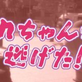 onちゃんの60秒ショートドラマ『onちゃんが逃げた!?』が11月28日(月)より「イチモニ！」「イチオシ!!」「onちゃん公式YouTubeチャンネル」にて放送・配信！