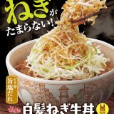 すき家にてごま油香る白髪ねぎ『白髪ねぎ牛丼』・『にんにく白髪ねぎ牛丼』が12月21日(水) 9:00より発売！