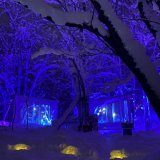 定山渓温泉にて『雪灯路 2023』が1月28日(土)より開催！「祈りの森」エリアの演出は株式会社ネイキッド