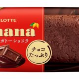 しっとり食感のガトーショコラ『ガーナ＜特濃ガトーショコラ＞』が1月24日(火)よりバレンタインシーズン限定で登場！