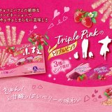 3種のピンク素材を使用した甘酸っぱいベリーの味わい『トリプルピンクの小枝』が1月24日(火)より発売！
