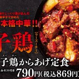 からやまにて唐辛子で炒めた『鉄板 辣子鶏からあげ定食』・『辣子鶏からあげ』が1月27日(金)より発売！