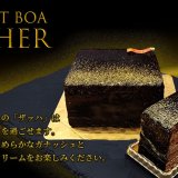 西区八軒にあるマスカットボアにて2月限定スイーツ『ザッハ』＆『テリーヌショコラ』が2月4日(土)より発売！