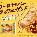 濃厚キャラメルアイスをサクサクワッフルでサンドした『ヨーロピアンワッフルサンド キャラメル』が2月20日(月)より全国のコンビニエンスストアで発売！