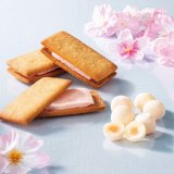 西洋菓子舗 不二家 丸井今井札幌本店にて春の訪れを感じる桜の新商品が発売！