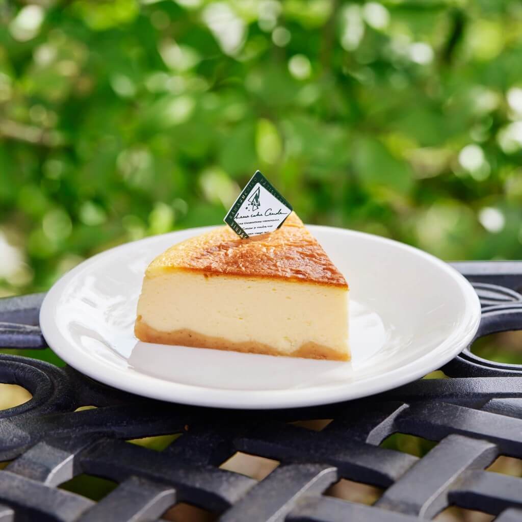河口湖 チーズケーキガーデンの「富士の完熟チーズケーキ」
