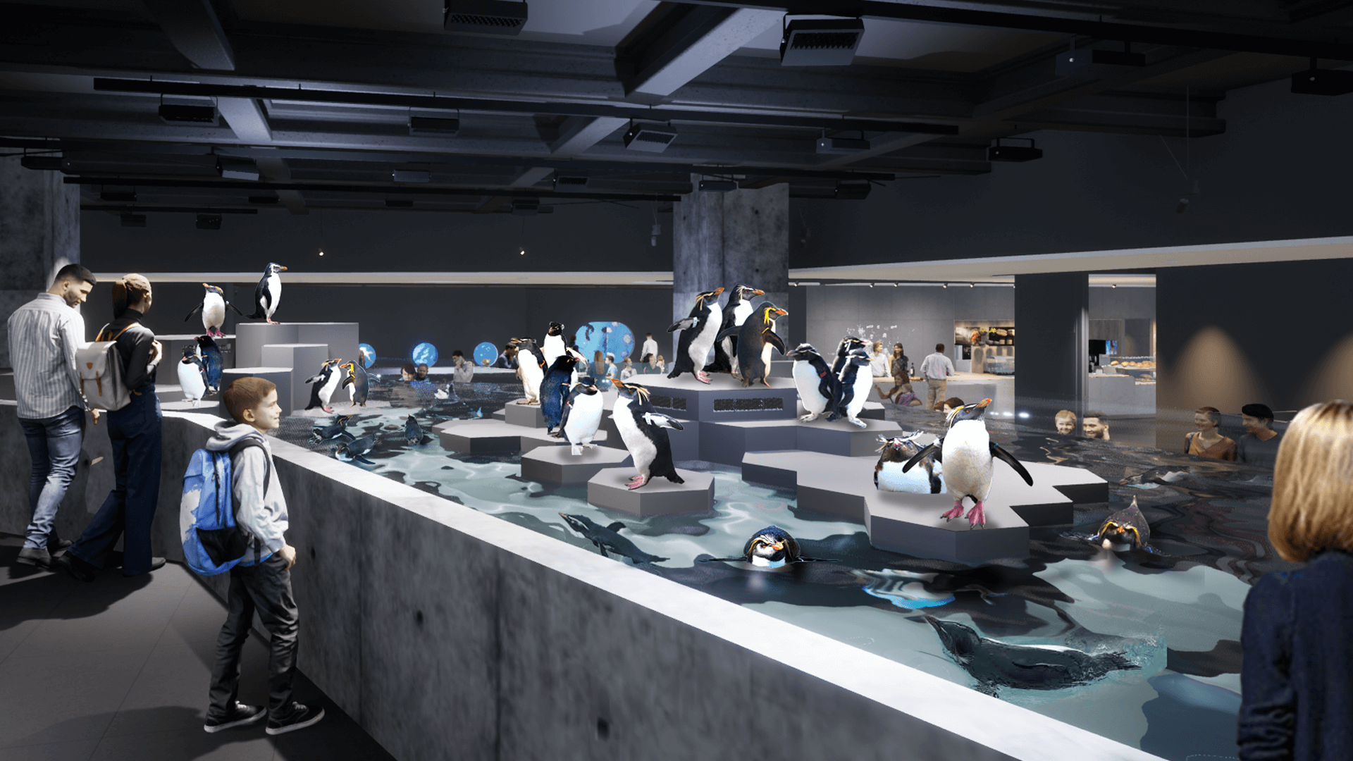 ＡＯＡＯ ＳＡＰＰＯＲＯの『ペンギン展示水槽』