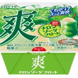 メロンソーダとバニラの爽やかな味わい『爽 メロンソーダフロート』が3月13日(月)より発売！
