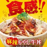 すき家からしびれる辛さの『麻辣もやし牛丼』が3月1日(水) 9:00より発売！